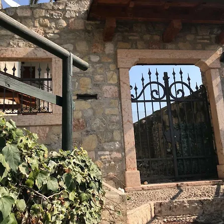 Castello فيلة *